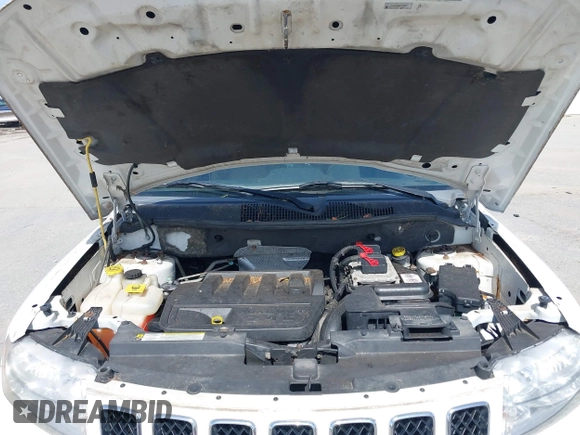 2011 Jeep Compass with VIN 1J4NF1FB9BD134384, listed as a IAAI auction lot 41941563 with 132,147 mi miles and . Bid and sale history available at DreamBid. Image 10.