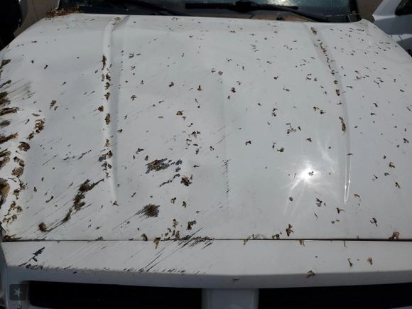 2006 Dodge Dakota SLT z VIN 1D7HW48N76S671886, wystawiony jako Copart lot #59487655 z przebiegiem Nie podano mil oraz Szkoda całkowita • Salvage title. Historia ofert i sprzedaży dostępna na DreamBid. Obrazek 11.