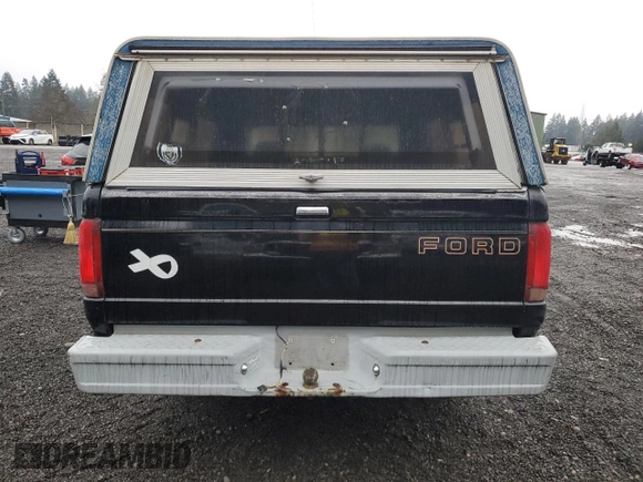 1994 Ford F-150 with VIN 1FTDF15Y8RLA12123, listed as a Copart auction lot 84224634 with 181,108 mi miles and Clean Title. Bid and sale history available at carsss.com. Image 6.