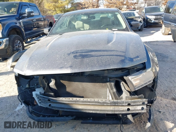 2011 Ford Mustang V6 with VIN 1ZVBP8AMXB5123084, listed as a IAAI auction lot 41359860 with 123,589 mi miles and . Bid and sale history available at carsss.com. Image 13.