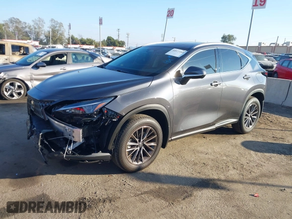 2025 Lexus NX with VIN 2T2GDCAZ4SC021181, listed as a IAAI auction lot 40977260 with 1,540 mi miles. Bid and sale history available at carsss.com. Image 18.