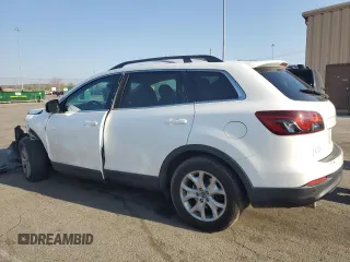 2015 Mazda CX-9 Touring with VIN JM3TB3CV3F0450497, listed as a Copart auction lot 53841845 with 124,550 mi miles and Salvage Title. Bid and sale history available at carsss.com. Image 2.