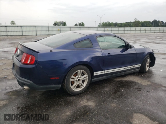 2010 Ford Mustang V6 with VIN 1ZVBP8AN3A5146553, listed as a Copart auction lot 52109285 with 252,708 mi miles and Salvage Title. Bid and sale history available at DreamBid. Image 3.