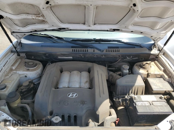 2005 Hyundai Santa Fe GLS with VIN KM8SC13DX5U906172, listed as a Copart auction lot 52000015 with 125,413 mi miles and Salvage Title. Bid and sale history available at carsss.com. Image 12.