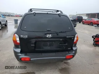 2003 Hyundai Santa Fe GLS with VIN KM8SC73D73U346238, listed as a Copart auction lot 54145655 with 189,988 mi miles and Clean Title. Bid and sale history available at carsss.com. Image 6.