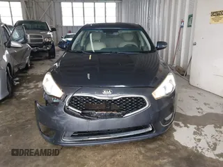 2014 Kia Cadenza Premium with VIN KNALN4D71E5167116, listed as a IAAI auction lot 41624305 with 194,100 mi miles. Bid and sale history available at carsss.com. Image 12.