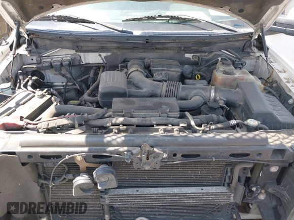 2010 Ford F-150 XL with VIN 1FTFX1EV6AFC69764, listed as a IAAI auction lot 42291732 with 376,779 mi miles and . Bid and sale history available at DreamBid. Image 10.