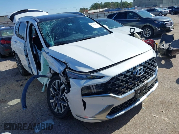 2021 Hyundai Santa Fe Calligraphy with VIN 5NMS5DAL1MH360376, listed as a IAAI auction lot 41395282 with 50,275 mi miles and . Bid and sale history available at DreamBid. Image 1.
