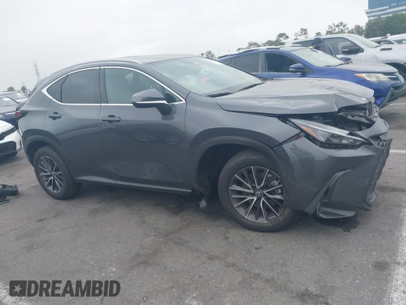 2022 Lexus NX 350 Premium с VIN 2T2GGCEZ9NC006858, выставлен на аукционе IAAI как лот 42482340 с пробегом 25 147 миль миль и . История ставок и продаж доступна на DreamBid. Изображение 13.