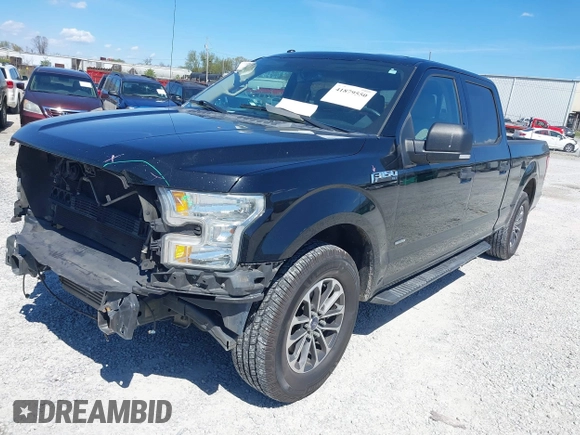 2016 Ford F-150 XL with VIN 1FTEW1CP9GKD19382, listed as a IAAI auction lot 41879550 with 241,480 mi miles and . Bid and sale history available at carsss.com. Image 17.