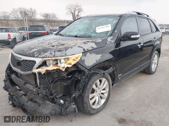 2011 Kia Sorento EX with VIN 5XYKUDA28BG064286, listed as a IAAI auction lot 41781709 with 288,395 mi miles. Bid and sale history available at carsss.com. Image 2.