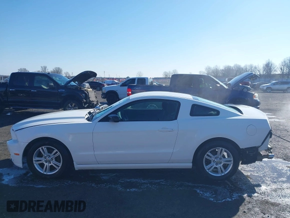 2013 Ford Mustang V6 with VIN 1ZVBP8AM6D5275902, listed as a IAAI auction lot 41750633 with 246,762 mi miles and . Bid and sale history available at DreamBid. Image 14.