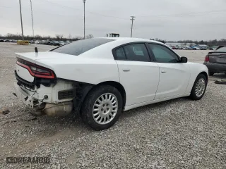 2016 Dodge Charger Police with VIN 2C3CDXKT8GH211698, listed as a Copart auction lot 43818345 with 191,951 mi miles and Salvage Title. Bid and sale history available at carsss.com. Image 3.