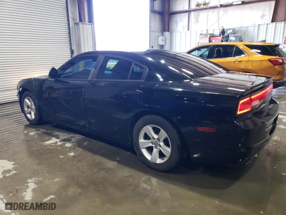 2013 Dodge Charger SE with VIN 2C3CDXBG0DH622169, listed as a Copart auction lot 48959985 with 193,002 mi miles and Salvage Title. Bid and sale history available at carsss.com. Image 2.