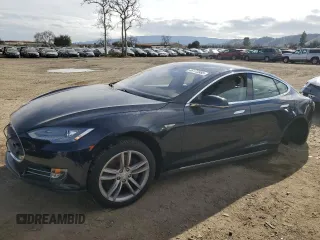 2014 Tesla Model S 60 with VIN 5YJSA1S11EFP53658, listed as a Copart auction lot 46173985 with 87,814 mi miles and Clean Title. Bid and sale history available at DreamBid. Image 1.