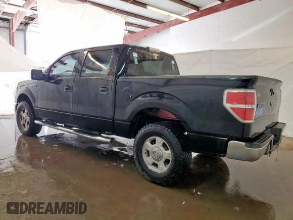 2010 Ford F-150 XL with VIN 1FTEW1E80AFB26785, listed as a Copart auction lot 59383405 with 220,540 mi miles and Clean title. Bid and sale history available at DreamBid. Image 2.