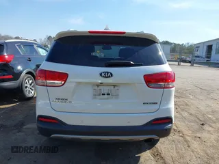 2016 Kia Sorento EX with VIN 5XYPHDA19GG145323, listed as a IAAI auction lot 41788183 with 120,756 mi miles and . Bid and sale history available at DreamBid. Image 16.