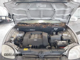2003 Hyundai Santa Fe GLS z VIN KM8SC13D03U468114, wystawiony jako IAAI lot #42399443 z przebiegiem 185 851 mil mil oraz . Historia ofert i sprzedaży dostępna na DreamBid. Obrazek 10.