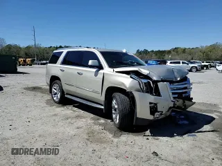 2016 Cadillac Escalade Luxury Collection z VIN 1GYS4BKJXGR175502, wystawiony jako Copart lot #50012785 z przebiegiem 204 862 mil mil oraz Szkody całkowita. Historia ofert i sprzedaży dostępna na DreamBid. Obrazek 14.