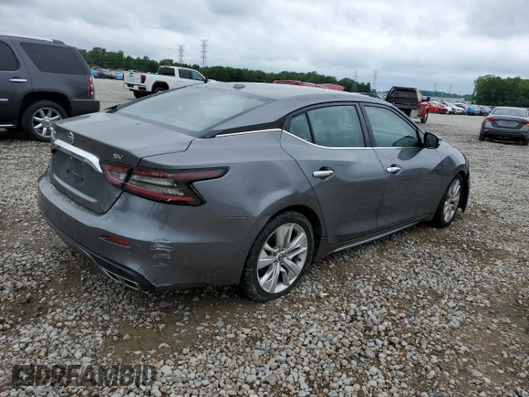 2022 Nissan Maxima SV with VIN 1N4AA6CV7NC505556, listed as a Copart auction lot 56204185 with 52,160 mi miles and Salvage title. Bid and sale history available at DreamBid. Image 3.