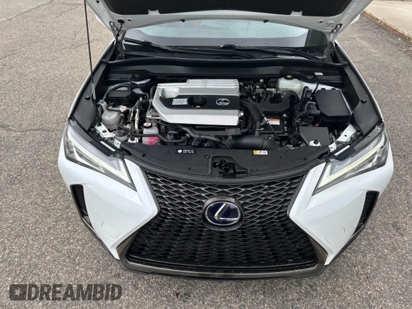 2022 Lexus UX 250h F Sport with VIN JTHR9JBH5N2060372, listed as a IAAI auction lot 42521654 with 110,619 mi miles and . Bid and sale history available at DreamBid. Image 10.