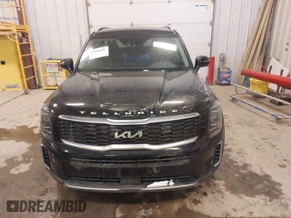 2022 Kia Telluride S with VIN 5XYP6DHC7NG222796, listed as a IAAI auction lot 41600096 with 98,134 mi miles and . Bid and sale history available at DreamBid. Image 12.