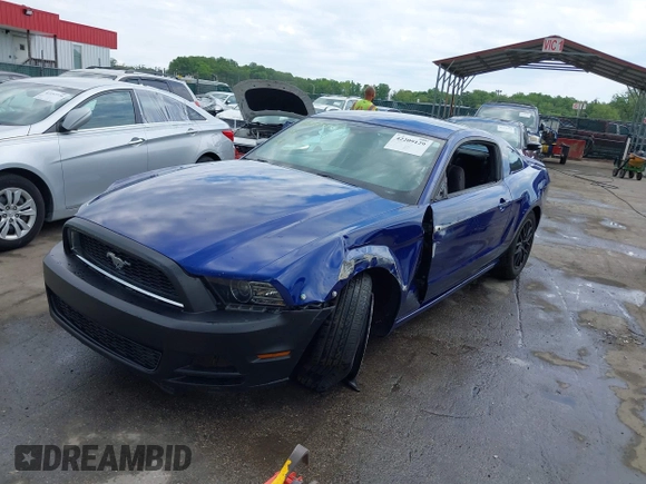 2013 Ford Mustang V6 with VIN 1ZVBP8AM7D5228491, listed as a IAAI auction lot 42209129 with 146,461 mi miles and . Bid and sale history available at DreamBid. Image 2.