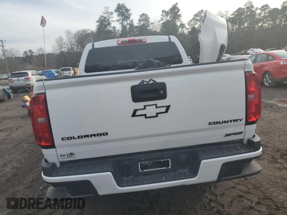 2019 Chevrolet Colorado 2WD Work Truck с VIN 1GCGSBEA5K1291937, выставлен на аукционе Copart как лот 42418355 с пробегом 134 099 миль миль и Списание • Salvage title. История ставок и продаж доступна на DreamBid. Изображение 6.