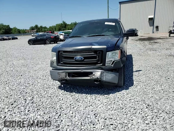 2013 Ford F-150 XL with VIN 1FTMF1EM0DKG19502, listed as a Copart auction lot 52917355 with 164,751 mi miles and Salvage Title. Bid and sale history available at carsss.com. Image 10.