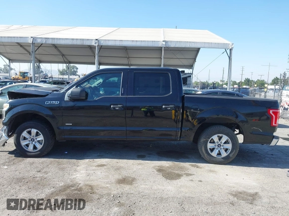 2016 Ford F-150 XL with VIN 1FTEW1CP7GKF05695, listed as a IAAI auction lot 42673645 with 134,368 mi miles and . Bid and sale history available at DreamBid. Image 15.