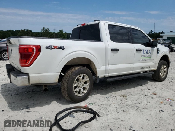 2023 Ford F-150 XL with VIN 1FTFW1E85PKG17275, listed as a Copart auction lot 57497155 with 34,379 mi miles and Salvage title. Bid and sale history available at DreamBid. Image 3.