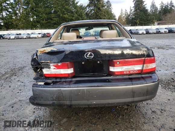 2001 Lexus ES 300 with VIN JT8BF28G015105905, listed as a Copart auction lot 46183805 with 202,449 mi miles and Salvage Title. Bid and sale history available at DreamBid. Image 6.