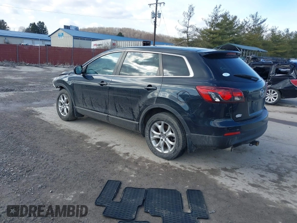 2014 Mazda CX-9 Touring with VIN JM3TB3CV5E0446563, listed as a IAAI auction lot 41524521 with 99,374 mi miles. Bid and sale history available at carsss.com. Image 3.