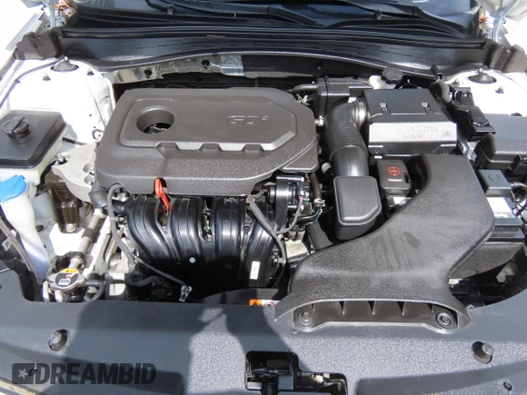 2019 Kia Optima LX with VIN 5XXGT4L36KG329998, listed as a Copart auction lot 52011715 with 123,942 mi miles and Salvage Title. Bid and sale history available at DreamBid. Image 7.