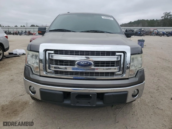 2013 Ford F-150 XL with VIN 1FTEW1CM8DKE33245, listed as a Copart auction lot 44566645 with 164,196 mi miles and Salvage Title. Bid and sale history available at carsss.com. Image 5.