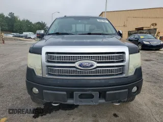 2009 Ford F-150 XL with VIN 1FTPW14V39FA46411, listed as a Copart auction lot 60041665 with 267,792 mi miles and Salvage title. Bid and sale history available at DreamBid. Image 5.