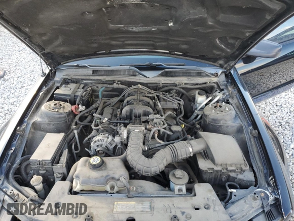 2009 Ford Mustang with VIN 1ZVHT80N595104131, listed as a Copart auction lot 46946395 with Not Provided miles and Clean Title. Bid and sale history available at carsss.com. Image 11.