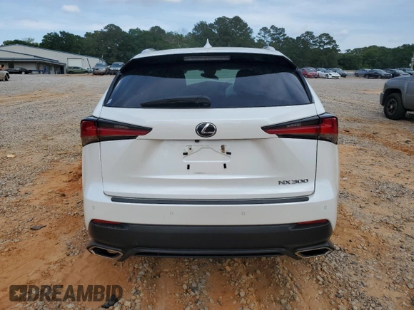 2019 Lexus NX 300 with VIN JTJYARBZ9K2150855, listed as a Copart auction lot 55296355 with Not provided miles and Salvage title. Bid and sale history available at DreamBid. Image 6.