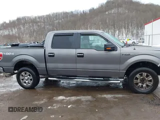 2009 Ford F-150 XL with VIN 1FTRW14849FA51992, listed as a IAAI auction lot 41444548 with 1 mi miles. Bid and sale history available at carsss.com. Image 13.