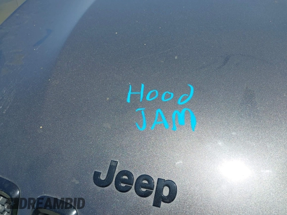 2018 Jeep Cherokee Latitude with VIN 1C4PJLCB8JD528079, listed as a IAAI auction lot 42261691 with 63,827 mi miles and . Bid and sale history available at DreamBid. Image 10.