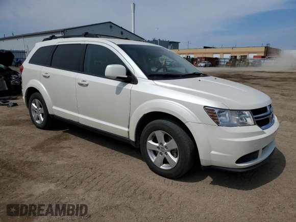 2014 Dodge Journey SE with VIN 3C4PDCAB0ET196777, listed as a Copart auction lot 49839545 with 310,223 mi miles and Clean Title. Bid and sale history available at carsss.com. Image 4.