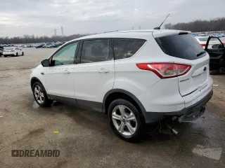 2013 Ford Escape SE with VIN 1FMCU0GX8DUA80369, listed as a Copart auction lot 43804515 with 125,264 mi miles and Salvage Title. Bid and sale history available at DreamBid. Image 2.