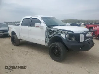 2009 Ford F-150 XL z VIN 1FTPW14V19FA18624, wystawiony jako Copart lot #53736275 z przebiegiem 143 358 mil mil oraz Szkoda całkowita • Salvage title. Historia ofert i sprzedaży dostępna na DreamBid. Obrazek 4.