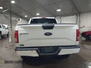 2017 Ford F-150 XL with VIN 1FTEX1EP4HFC84612, listed as a IAAI auction lot 41553736 with 145,235 mi miles. Bid and sale history available at carsss.com. Image 16.