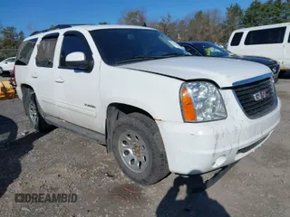 2010 GMC Yukon z VIN 1GKUKAE06AR251522, wystawiony jako IAAI lot #42018031 z przebiegiem 179 973 mil mil oraz . Historia ofert i sprzedaży dostępna na DreamBid. Obrazek 1.