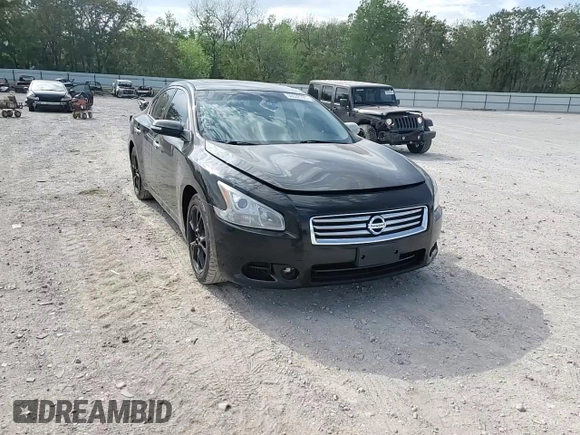 2013 Nissan Maxima SV with VIN 1N4AA5AP4DC817699, listed as a Copart auction lot 53532795 with 179,385 mi miles and Salvage title. Bid and sale history available at DreamBid. Image 10.