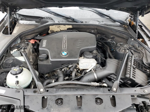 2014 BMW 5 Series 528i with VIN WBA5A5C52ED508037, listed as a Copart auction lot 48415255 with 160,357 mi miles and Salvage Title. Bid and sale history available at carsss.com. Image 11.