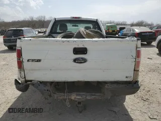 2009 Ford F-150 XL with VIN 1FTRF14W99KB43928, listed as a Copart auction lot 49001195 with 162,097 mi miles and Salvage title. Bid and sale history available at DreamBid. Image 6.