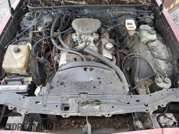 1981 Chevrolet Monte Carlo z VIN 1G1AZ37K7BB423127, wystawiony jako Copart lot #51288275 z przebiegiem 86 962 mil mil oraz Tytuł czysty. Historia ofert i sprzedaży dostępna na DreamBid. Obrazek 11.