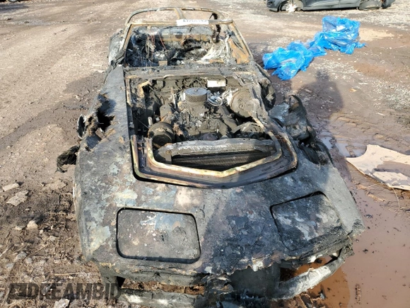 1981 Chevrolet Corvette with VIN 1G1AY8762B5103084, listed as a Copart auction lot 47263145 with 0 mi miles and Salvage Title. Bid and sale history available at carsss.com. Image 5.